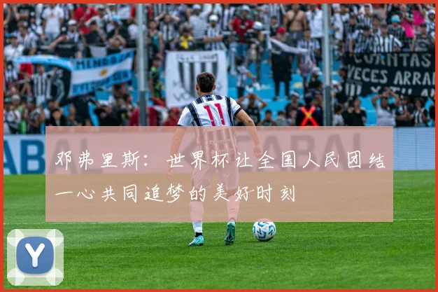 邓弗里斯：世界杯让全国人民团结一心共同追梦的美好时刻